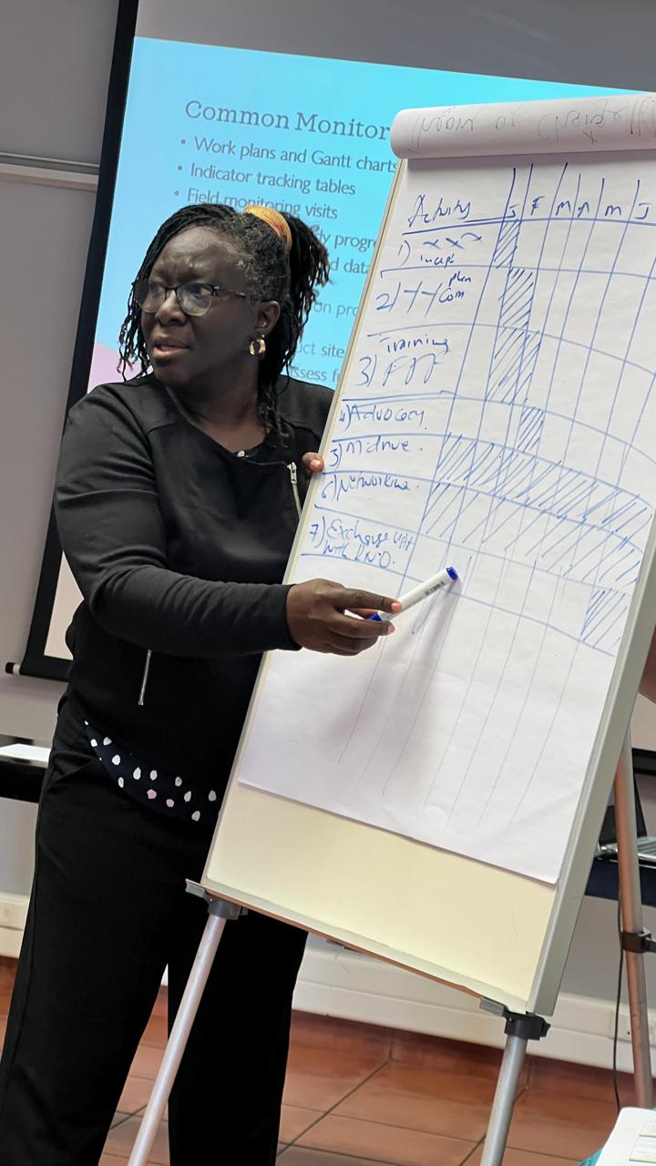 Facilitating a session on monitoring, evaluation, accountability and learning.