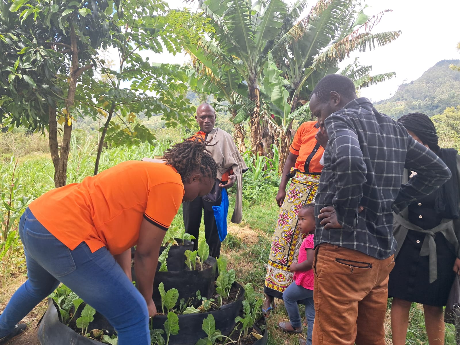 Grassroots activity with local households — where policy meets the kitchen garden.